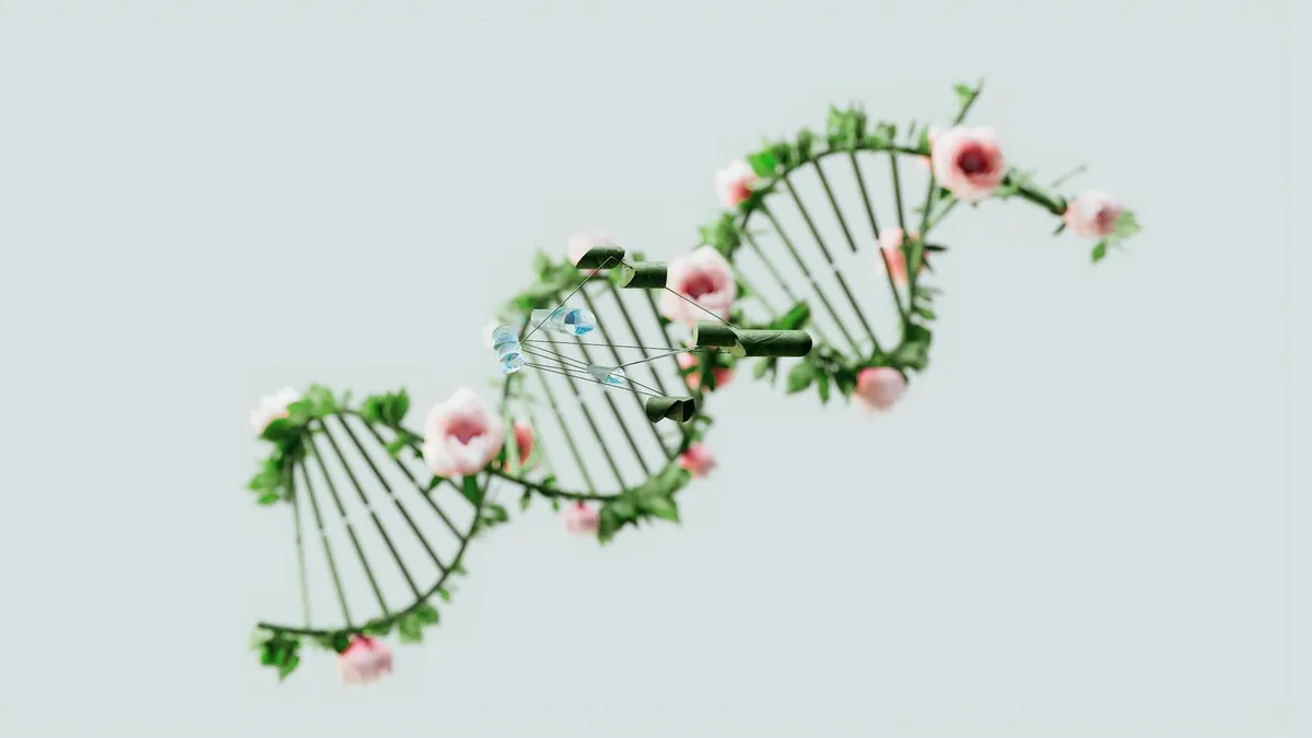 Epigenetics — Complementary health practice
