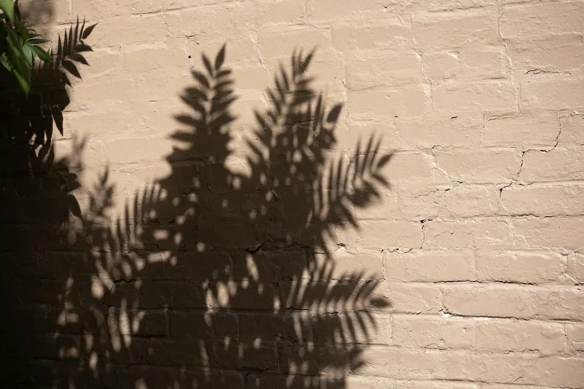 Shadow Work — Metaphysical health practice