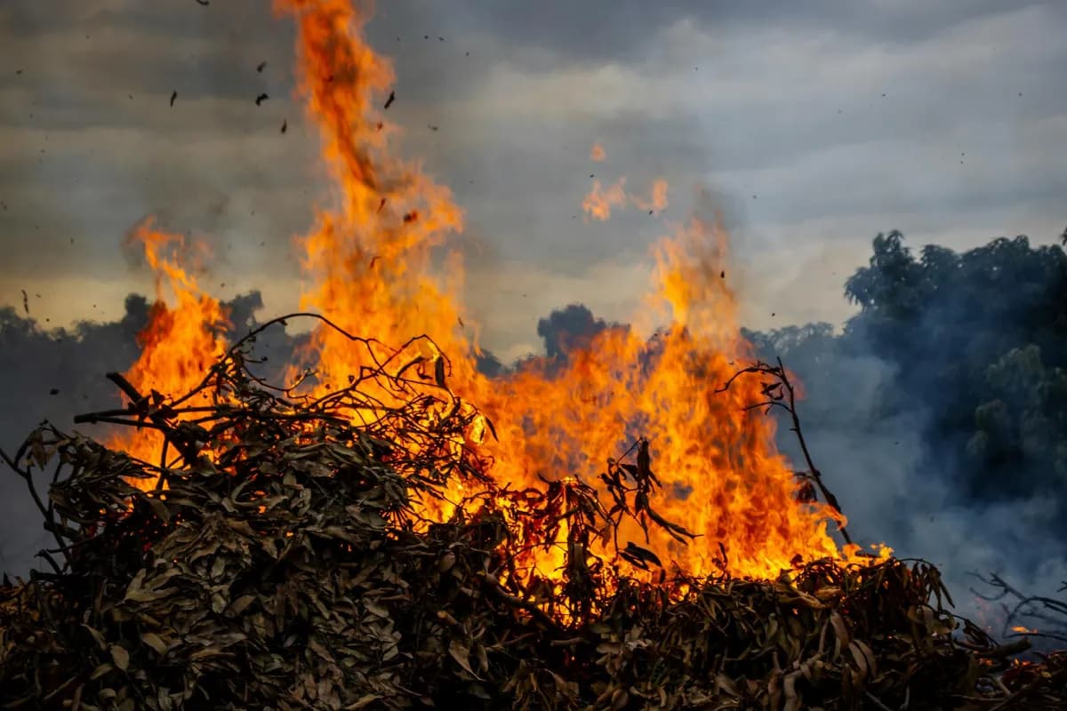 Burning — health symptom