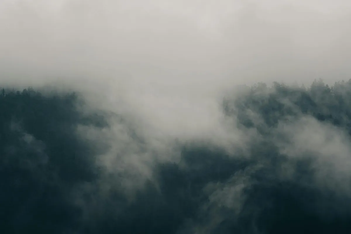Cognitive Fog — health symptom