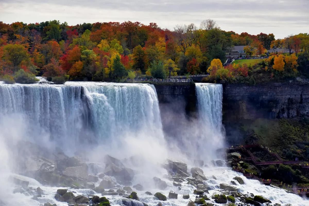 Falls — health symptom