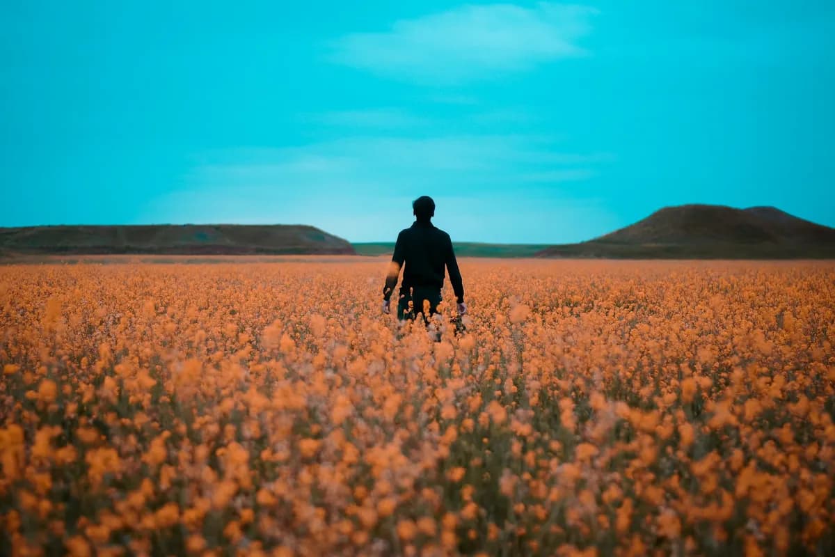 Feeling Lost — health symptom