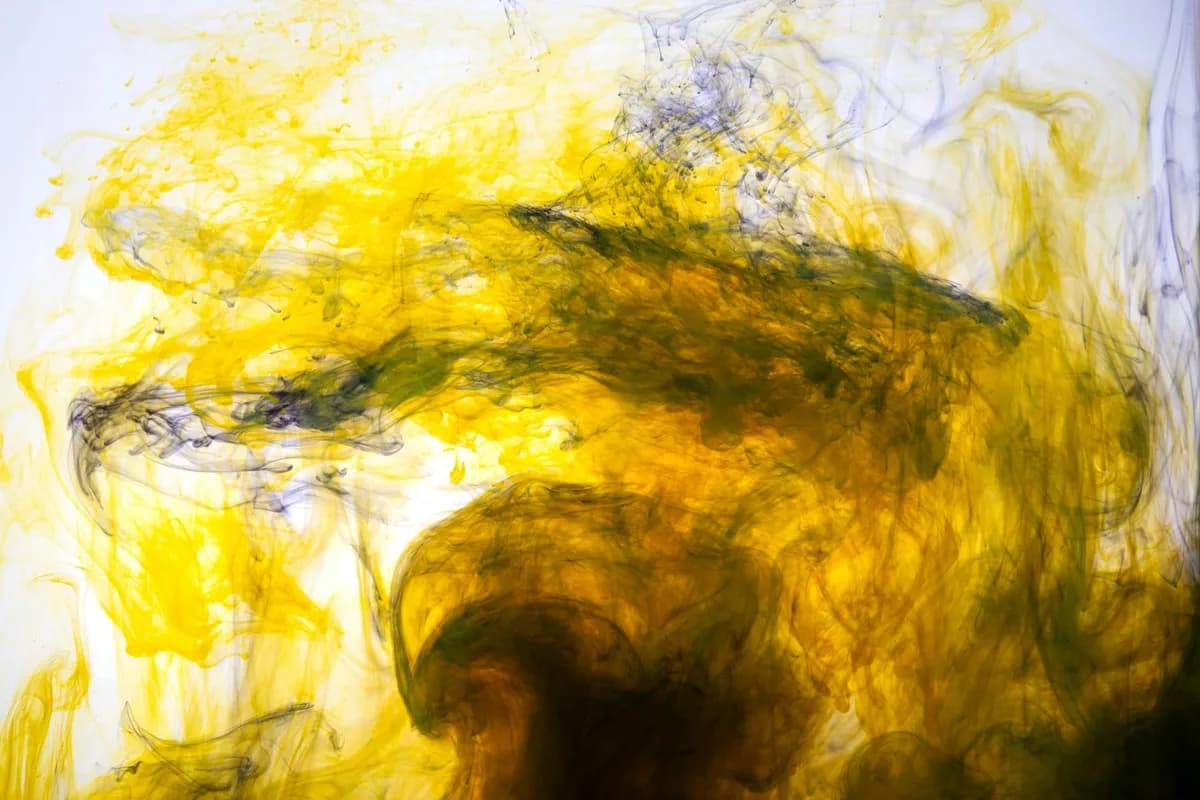 Pigmentation — health symptom