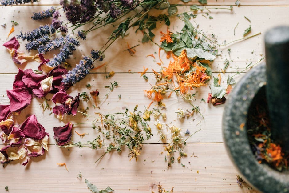 What Happens During an Herbal Medicine Consultation? — holistic health
