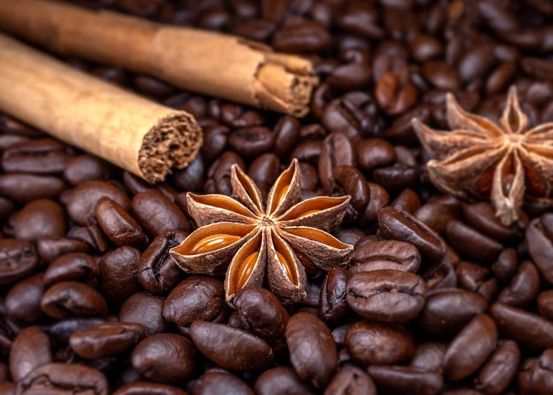 Starseed Research Review: Understanding the Evidence for Cosmic Soul Origins — holistic health