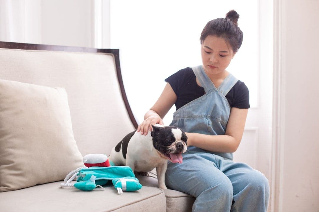 Animal Cold Laser Therapy Research: What the Evidence Shows — holistic health