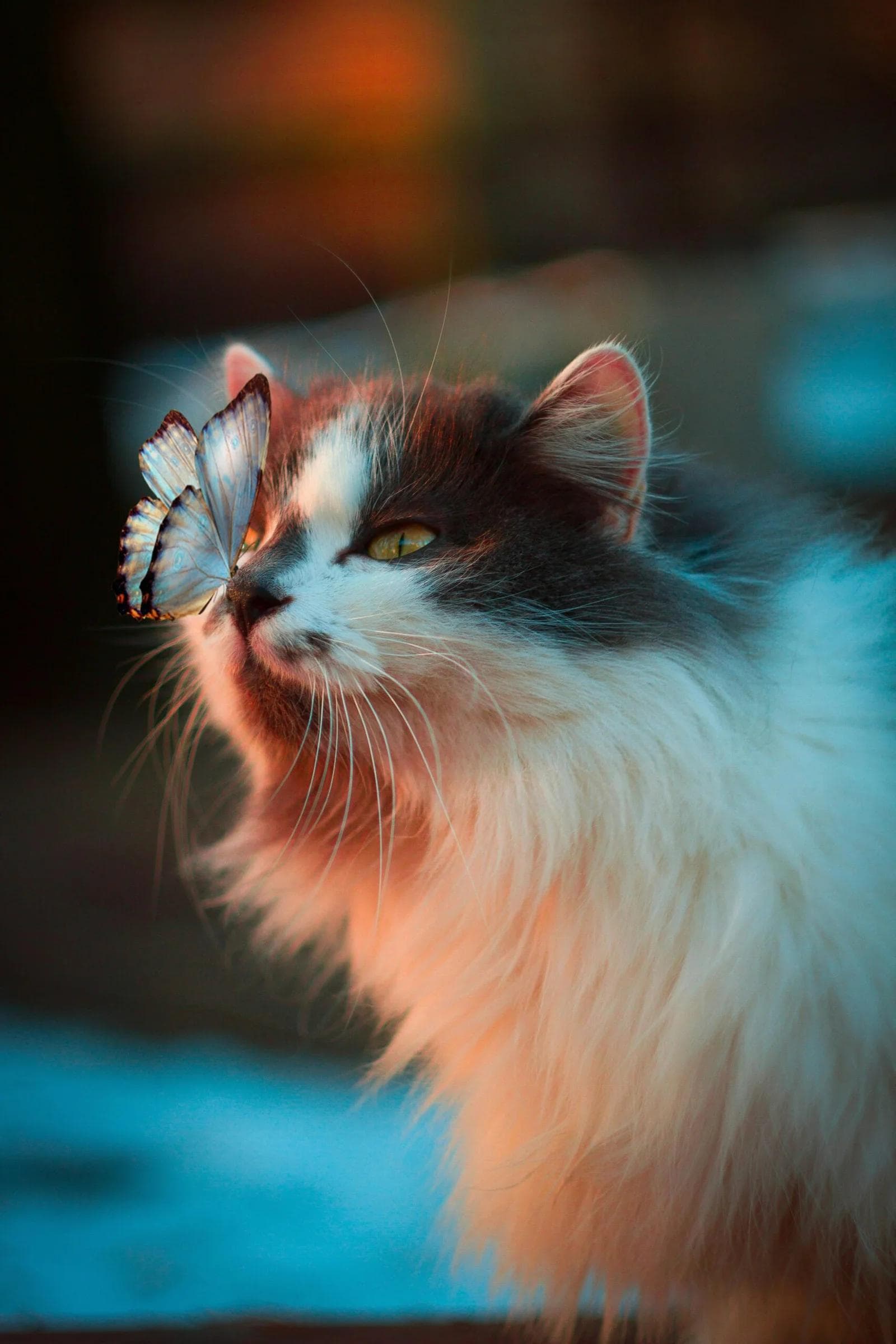 The Healing Power of Animal Therapy: Reducing Stress and Enhancing Mental Health