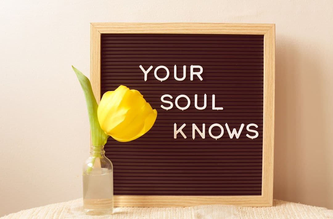Soul Contracts: Exploring Pre-Birth Spiritual Agreements and Life Lessons — holistic health