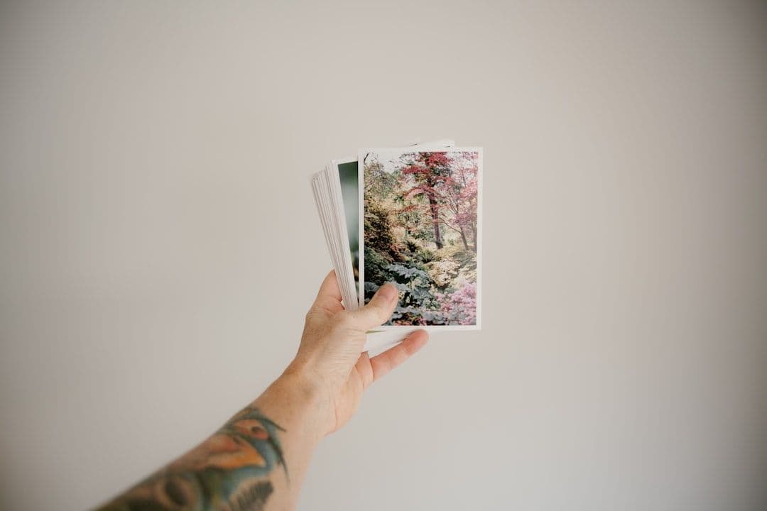 Oracle Cards for Emotional Clarity: A Practitioner's Guide to This Metaphysical Tool — holistic health