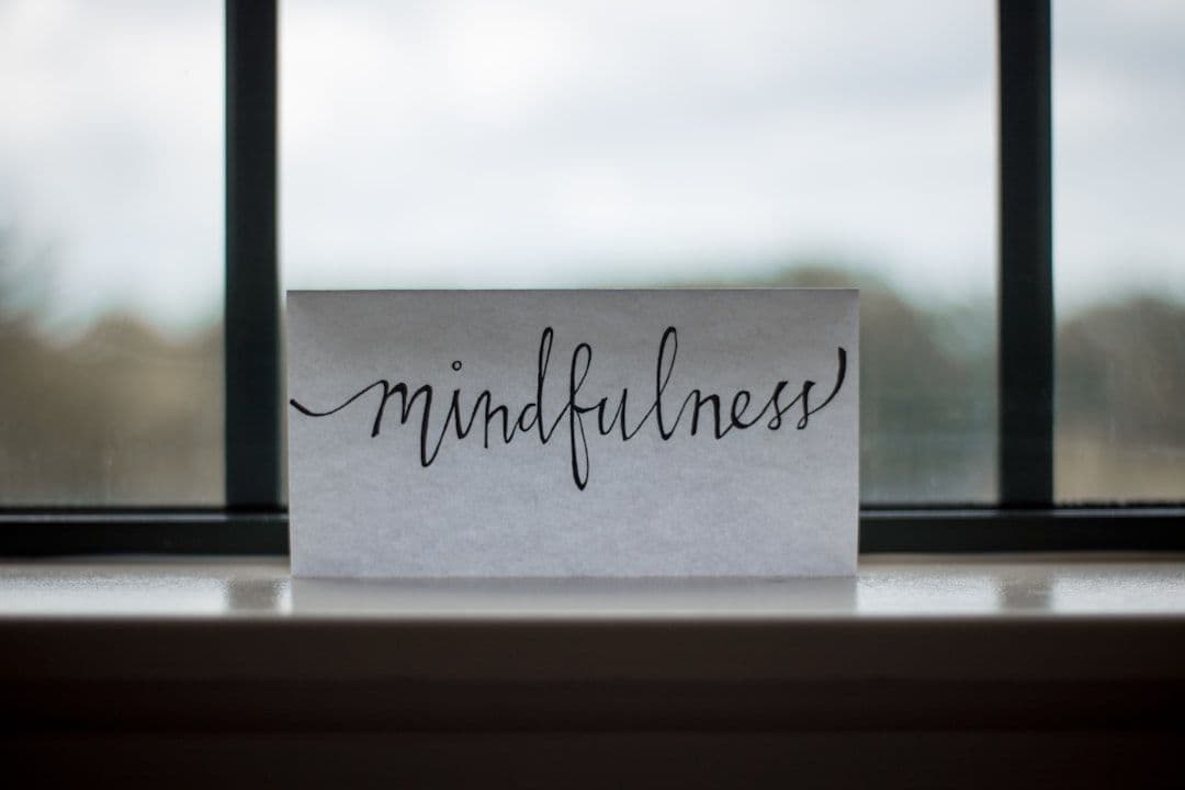 MBSR: The Eight-Week Programme That Changed Stress Medicine — holistic health