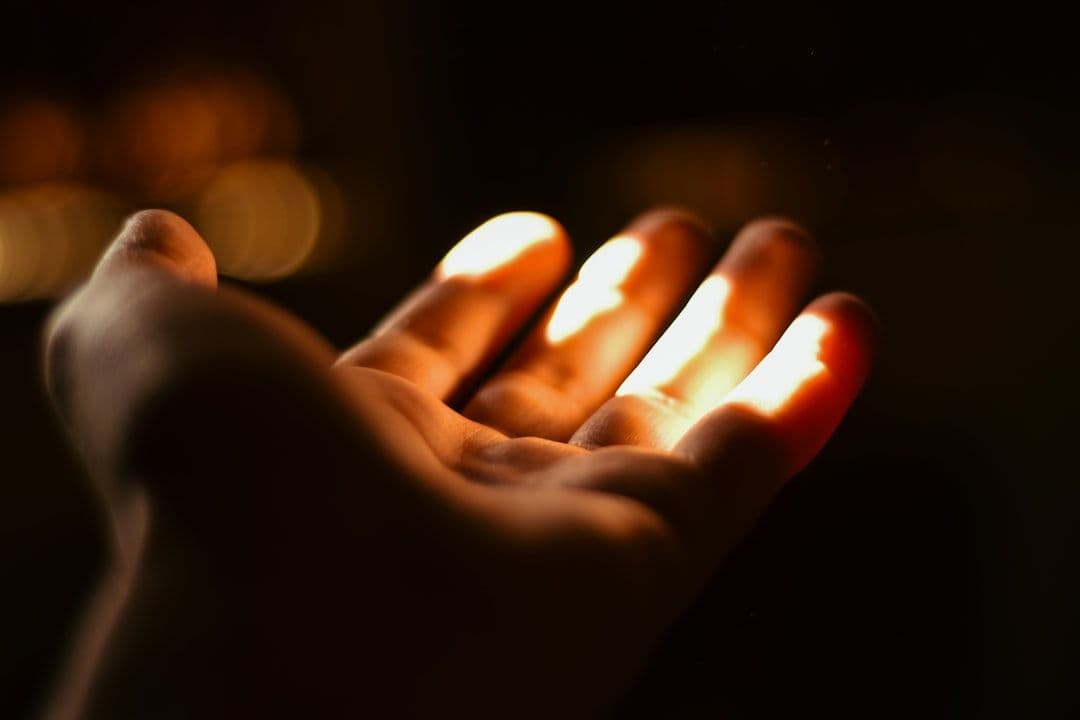 Art of Forgiveness: What the Research Shows About Structured Forgiveness Practices — holistic health