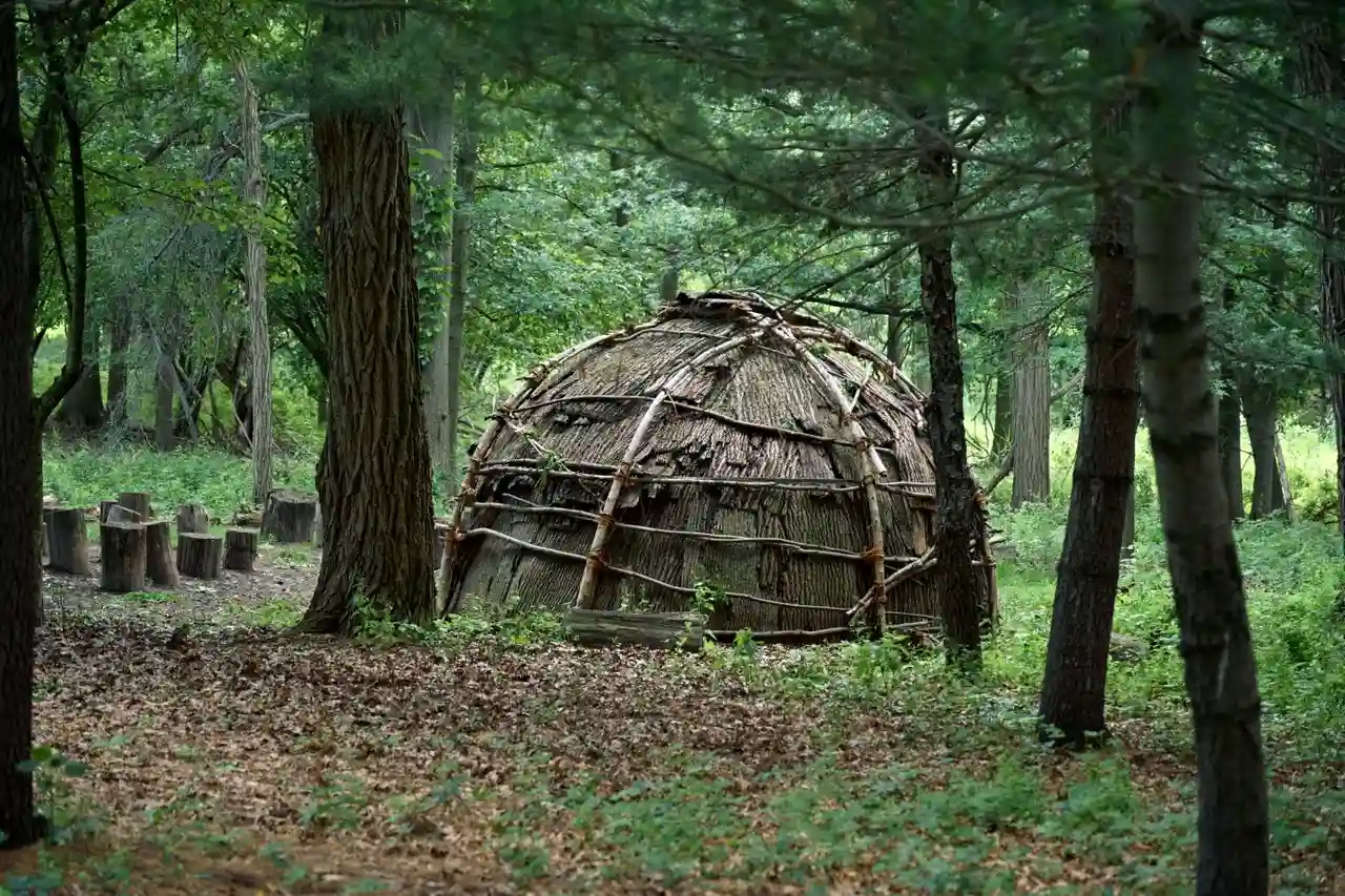 A dome-shaped sweat lodge frame of bent saplings covered with woven matting, standing in a clearing among trees.