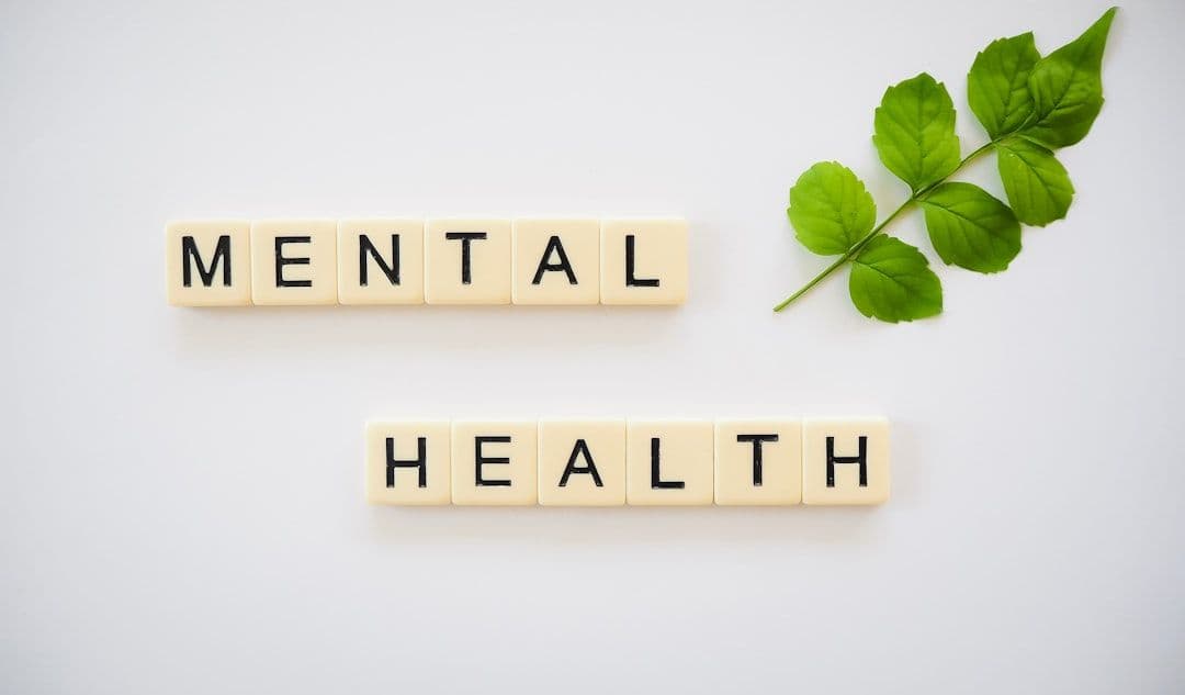 What to Expect During Your First Mentoring Session — holistic health