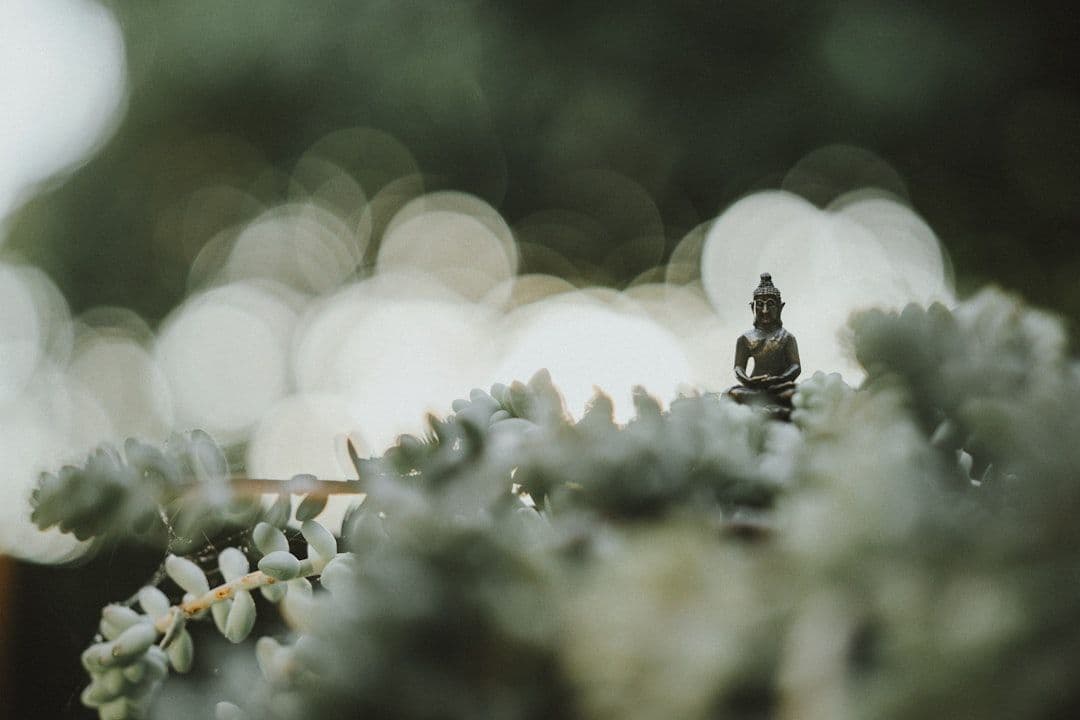 Spiritual Guidance: Finding Direction Through Sacred Mentorship — holistic health