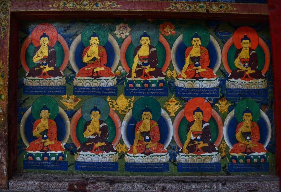 What Happens During a Tibetan Medicine (Sowa Rigpa) Consultation — holistic health