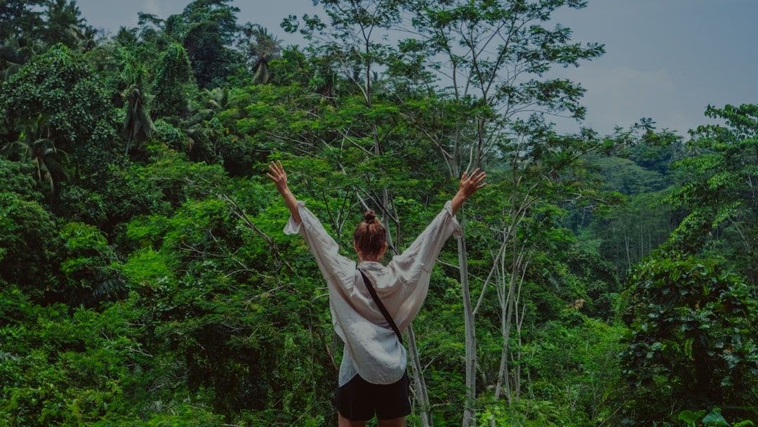 What Happens During an Amazonian Health Session: A Guide to Plant Medicine Healing — holistic health