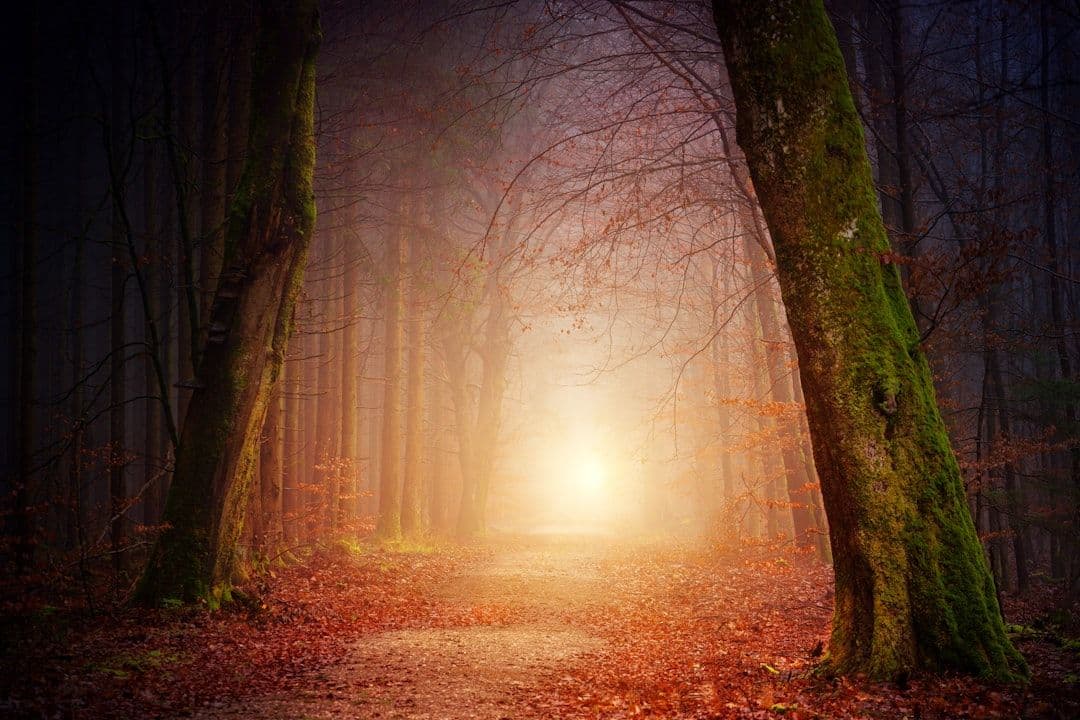 Soul Retrieval: What Happens in a Shamanic Session for Wholeness — holistic health
