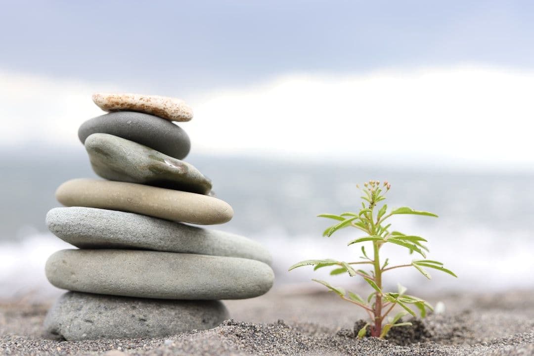 Environmental Health Research: The Evidence for Your Living Space as Medicine — holistic health