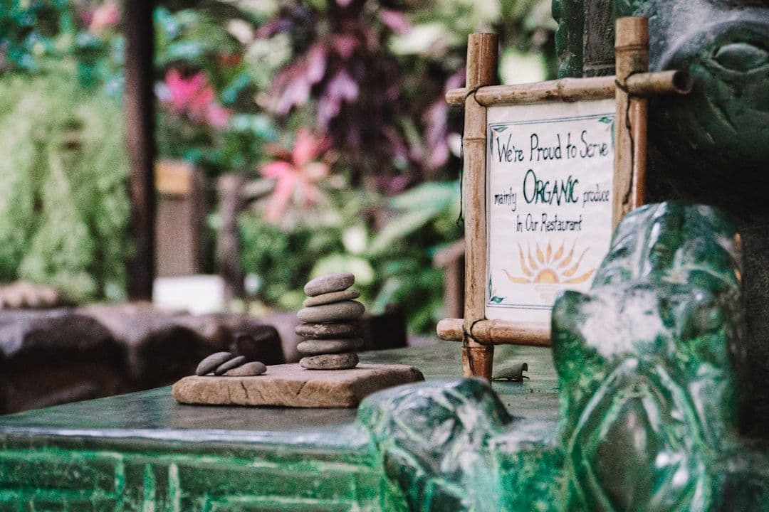 What Happens During Oracle Coaching: A Session Walkthrough — holistic health