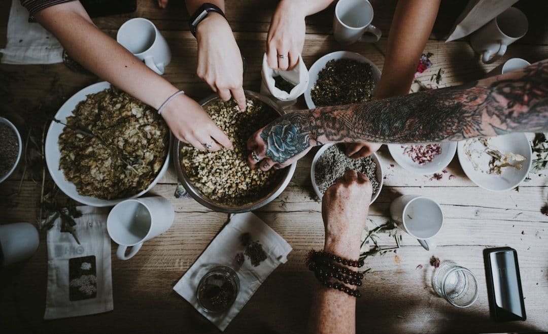 CBD Pet Foods: What the Research Shows About Cannabidiol for Dogs and Cats — holistic health