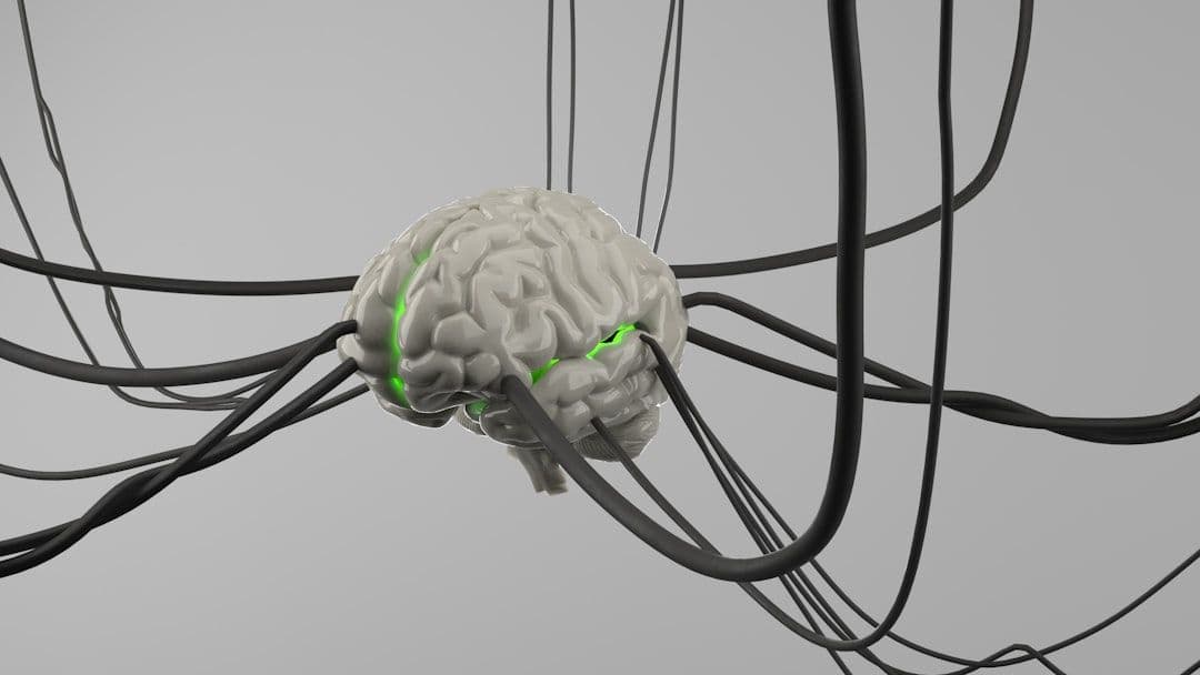Polyvagal-Informed Therapy: A Practitioner's Guide to Nervous System Healing — holistic health