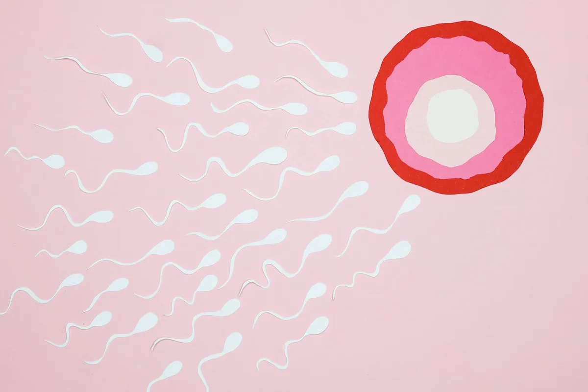Holistic Fertility — health condition