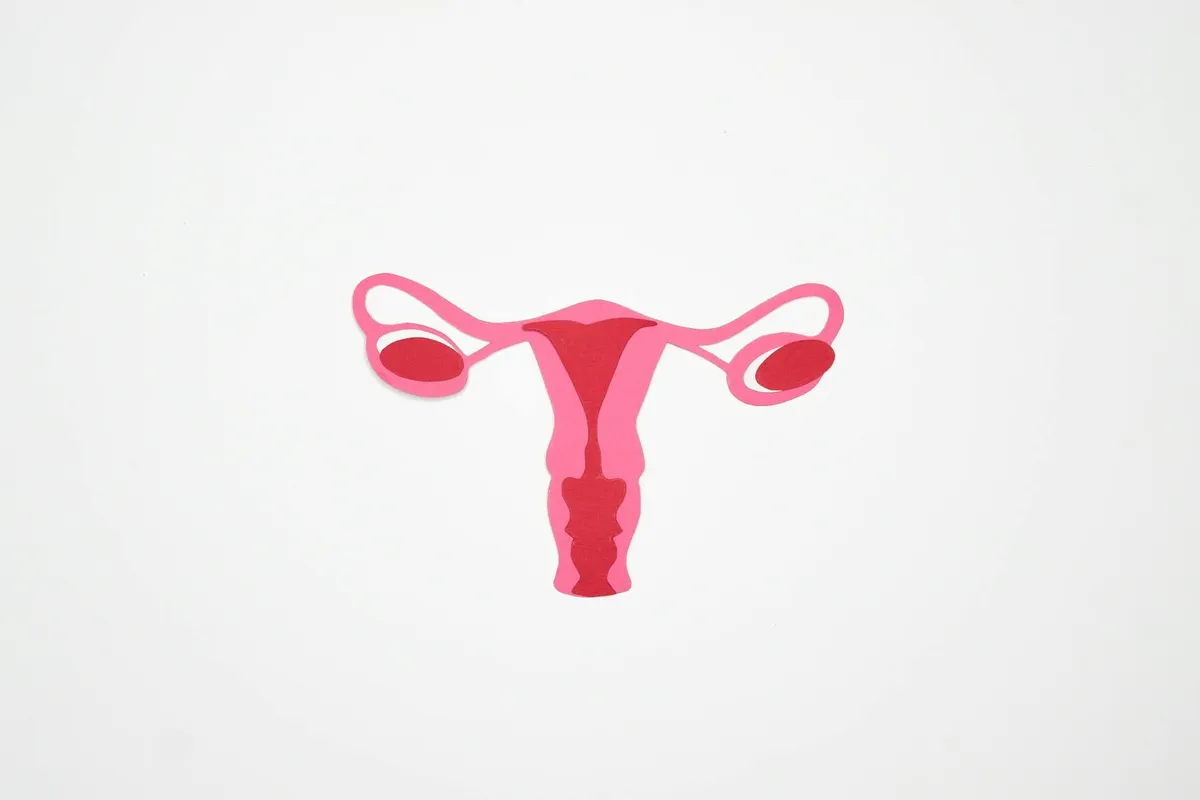 Polycystic ovary syndrome — health condition