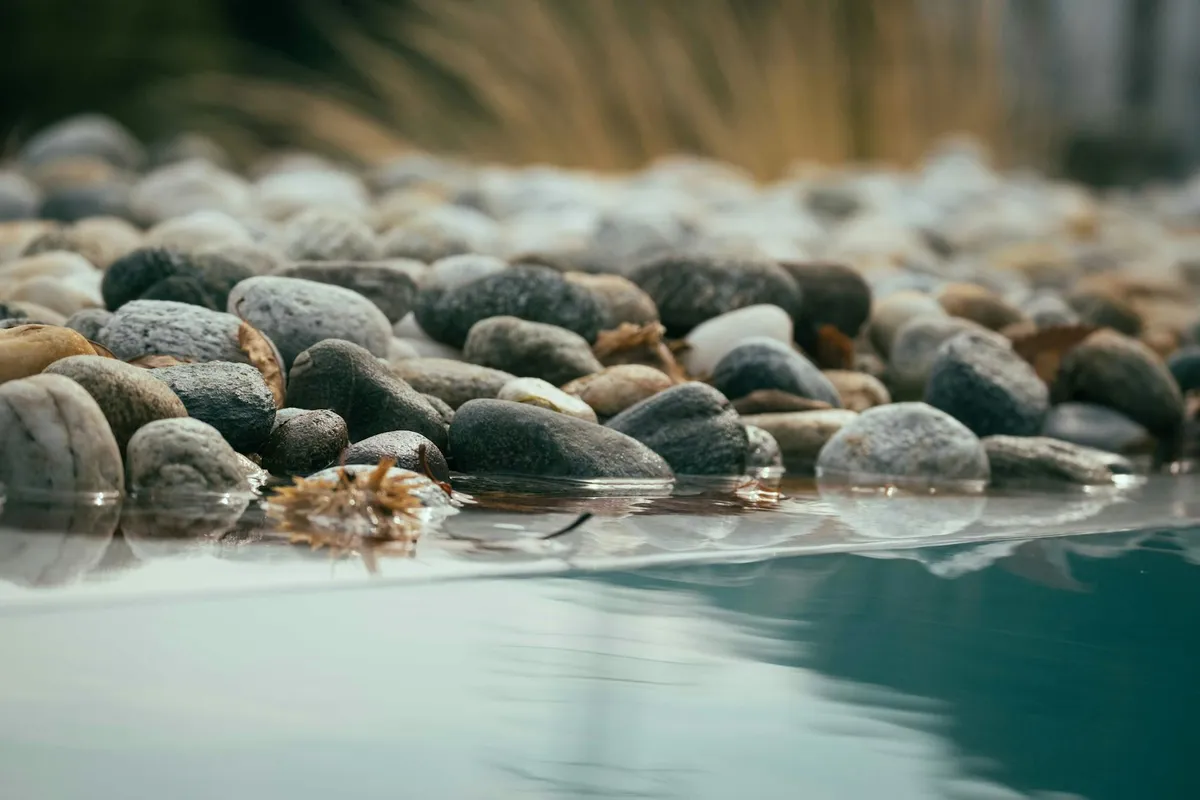 Thyroid Imbalance — health condition