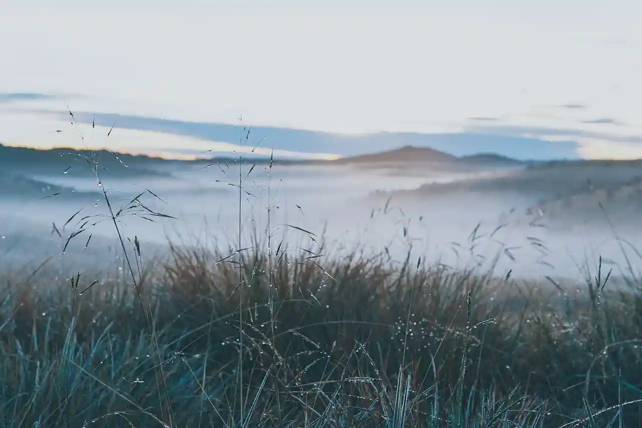 Breathwork workshop