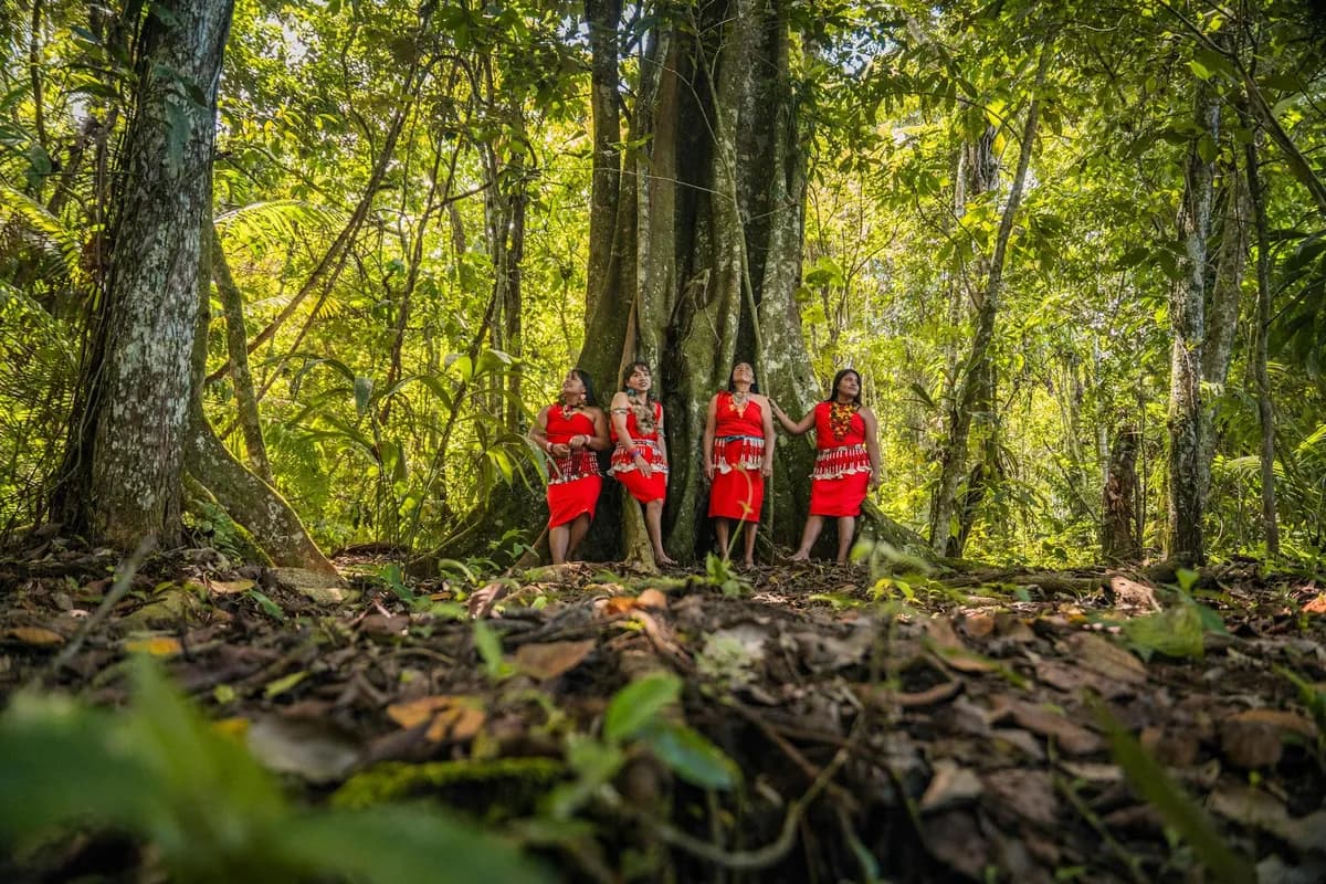 Amazonian Health — Holistic health practice