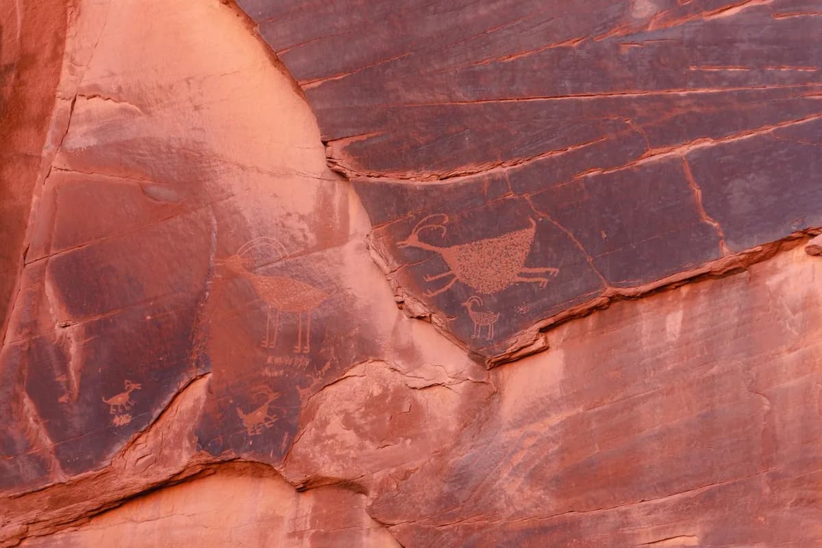Ancestral Patterns — Metaphysical health practice