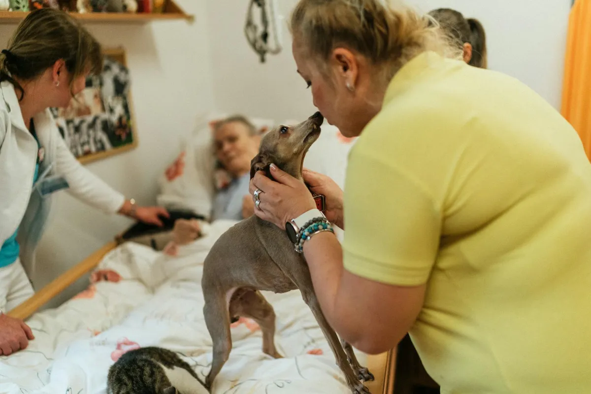 Animal Assisted Therapy — Holistic health practice