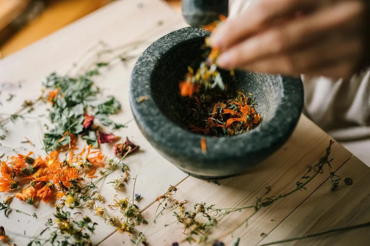 Botanical Therapies — Holistic health practice