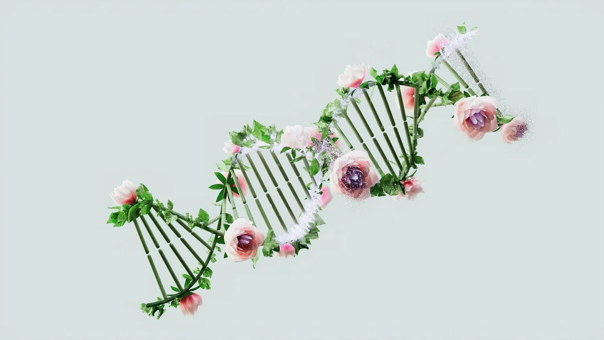 DNA Methylation and Repair — Complementary health practice