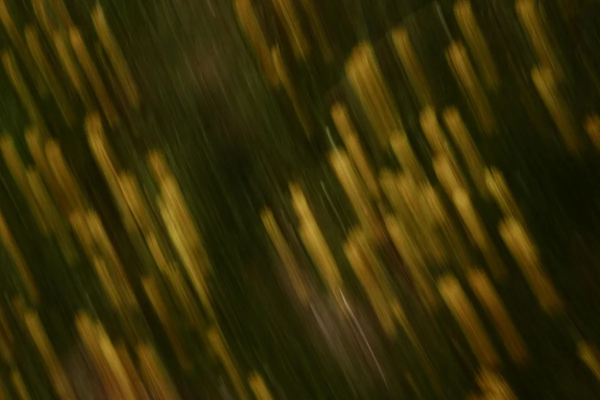 Dreamtime Interpretation — Metaphysical health practice