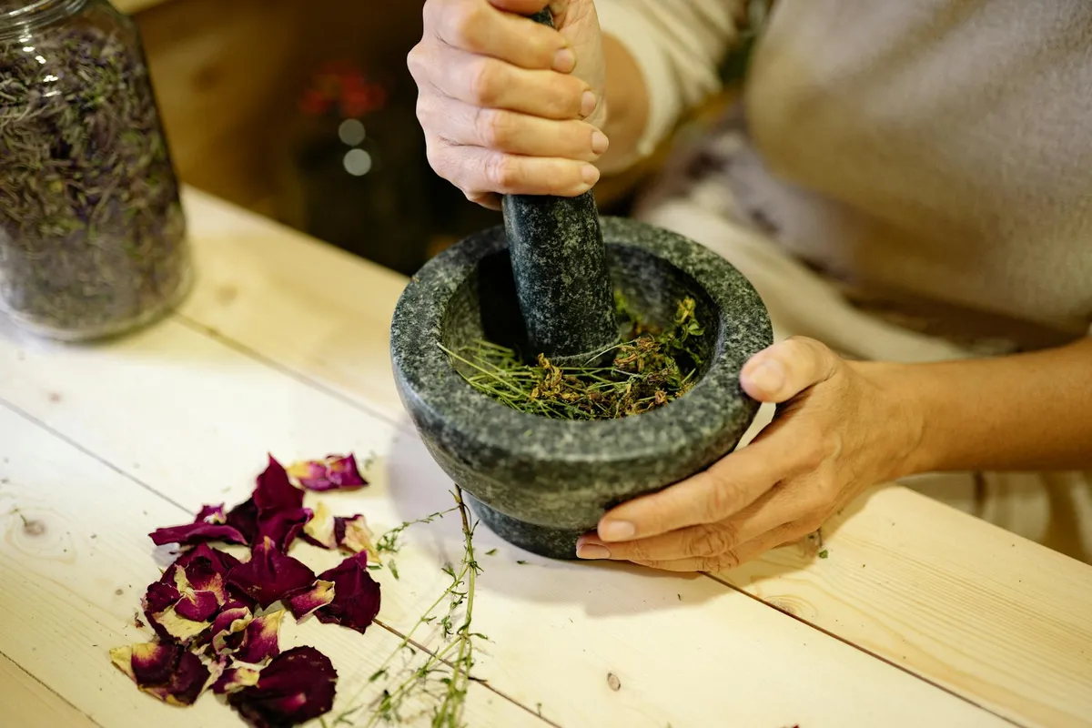 Druidic Medicine — Holistic health practice