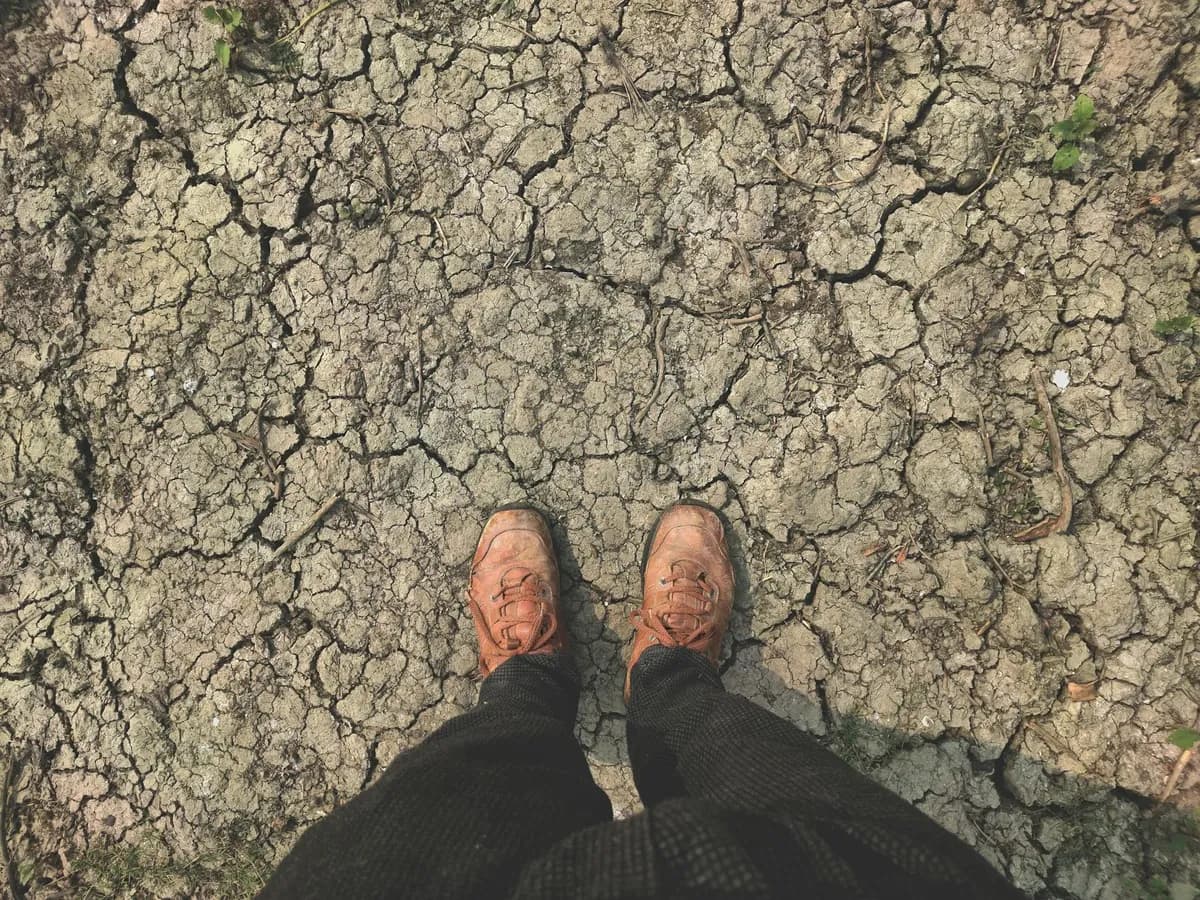 Earthing — Holistic health practice