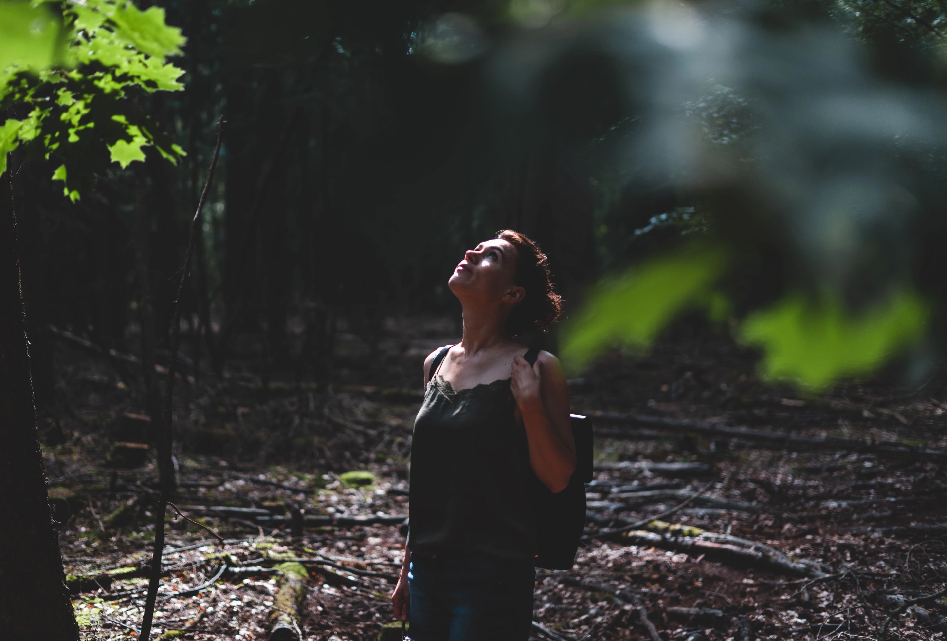 Forest Bathing (Shinrin-yoku) — Holistic health practice