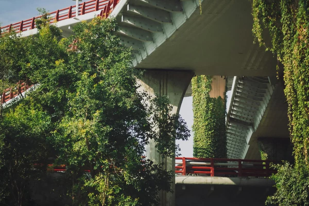 KMI Structural Integration — Complementary health practice
