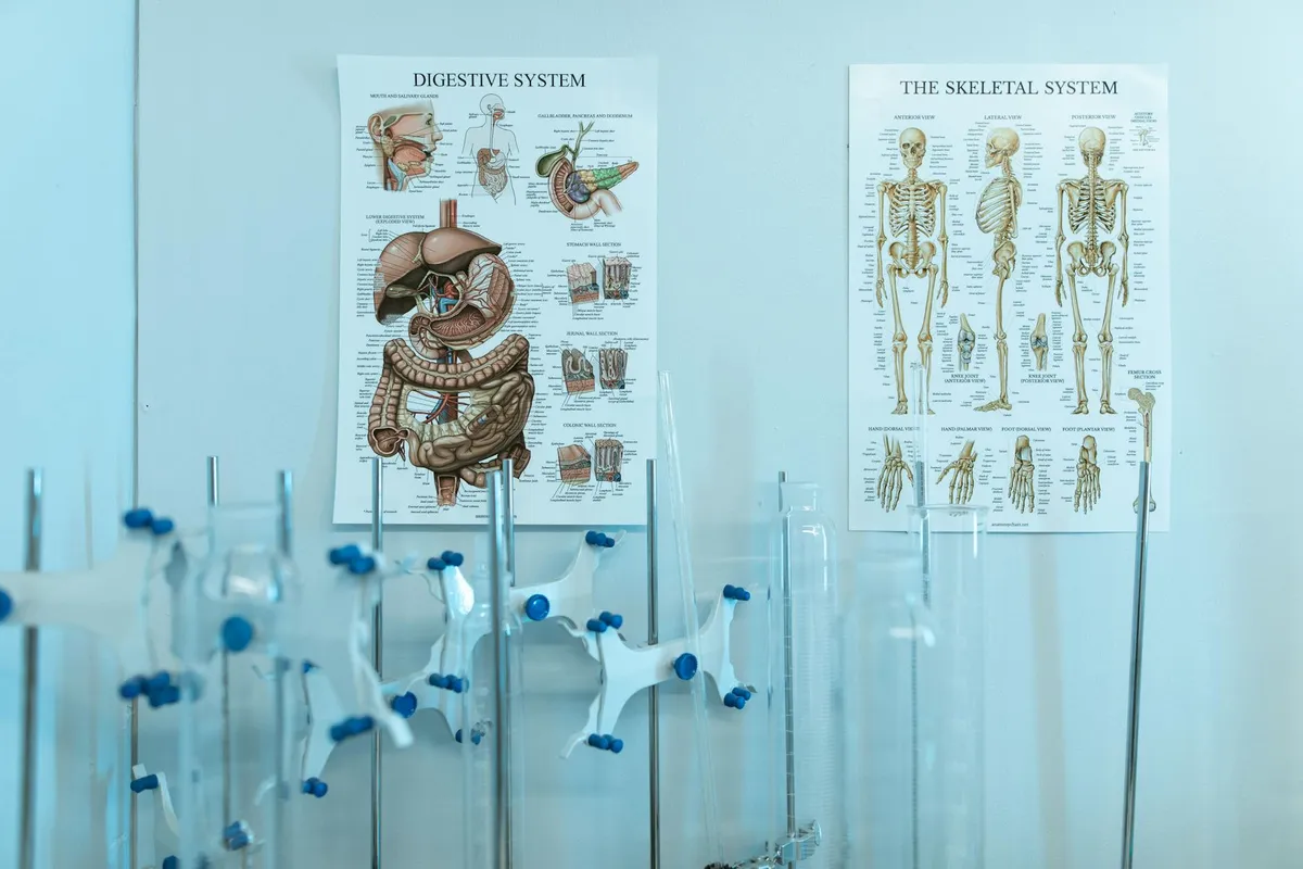 Nervous System Regulation — Complementary health practice