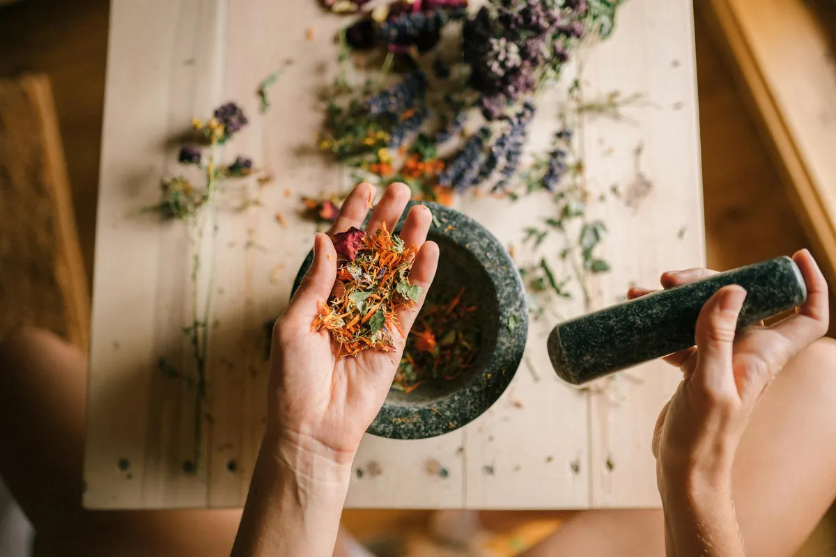 Plant Spirit Medicine — Holistic health practice
