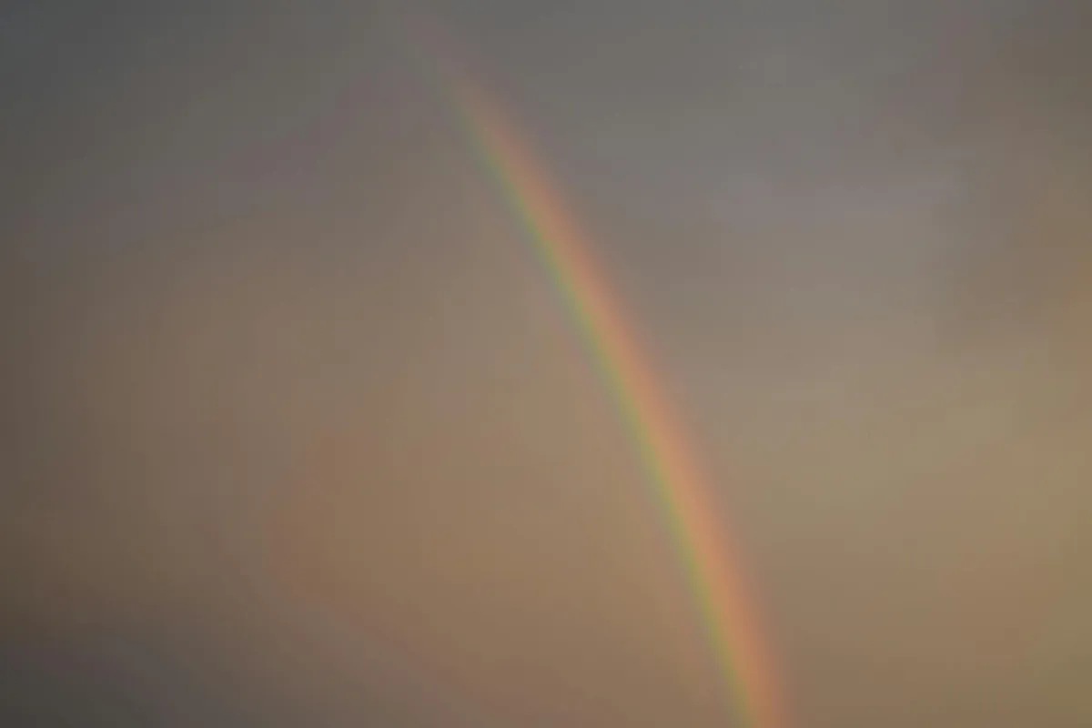 Rainbow Reiki — Holistic health practice