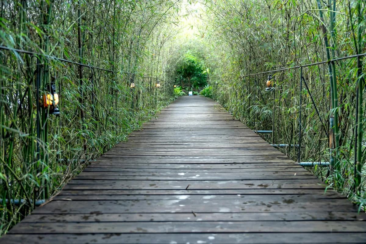 Spiritual Paths — Metaphysical health practice