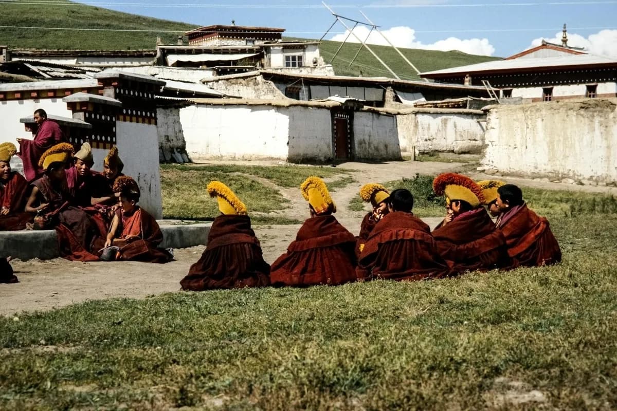 Tibetan Medicine (Sowa Rigpa) — Alternative health practice