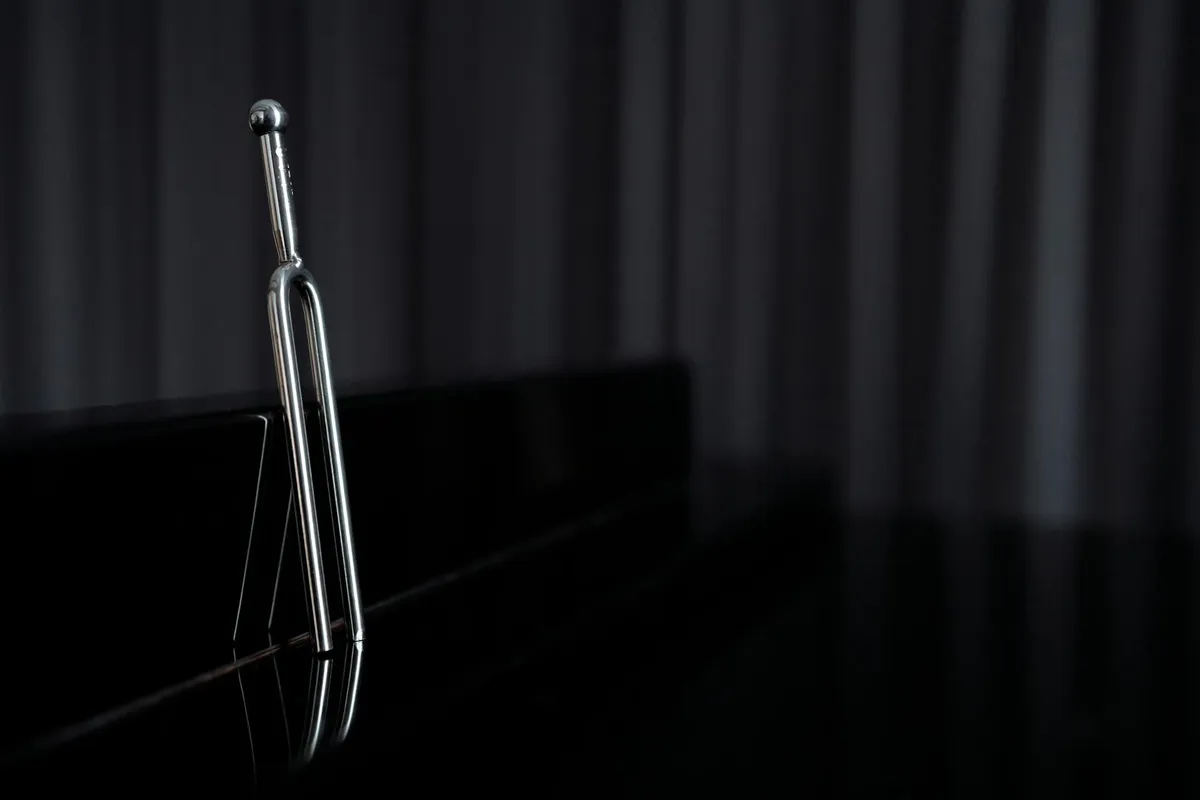 Tuning Forks — Holistic health practice