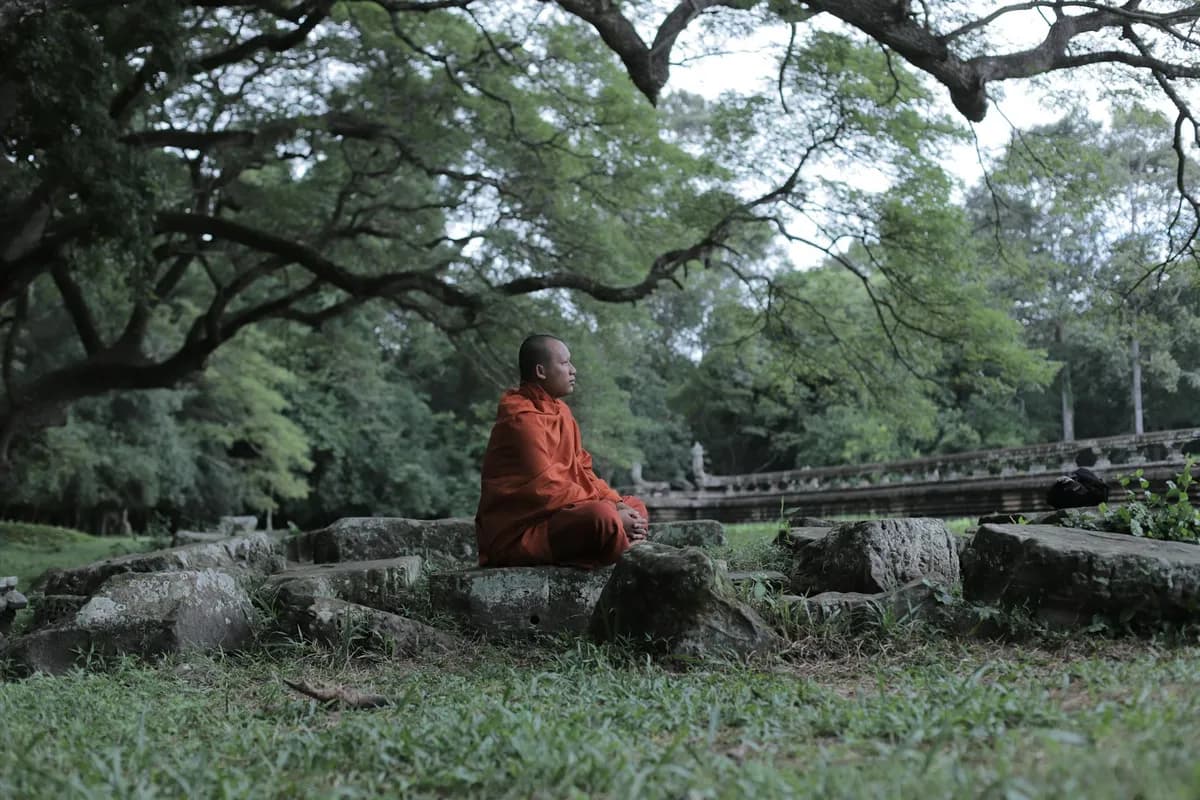 Vipassana Meditation — Holistic health practice