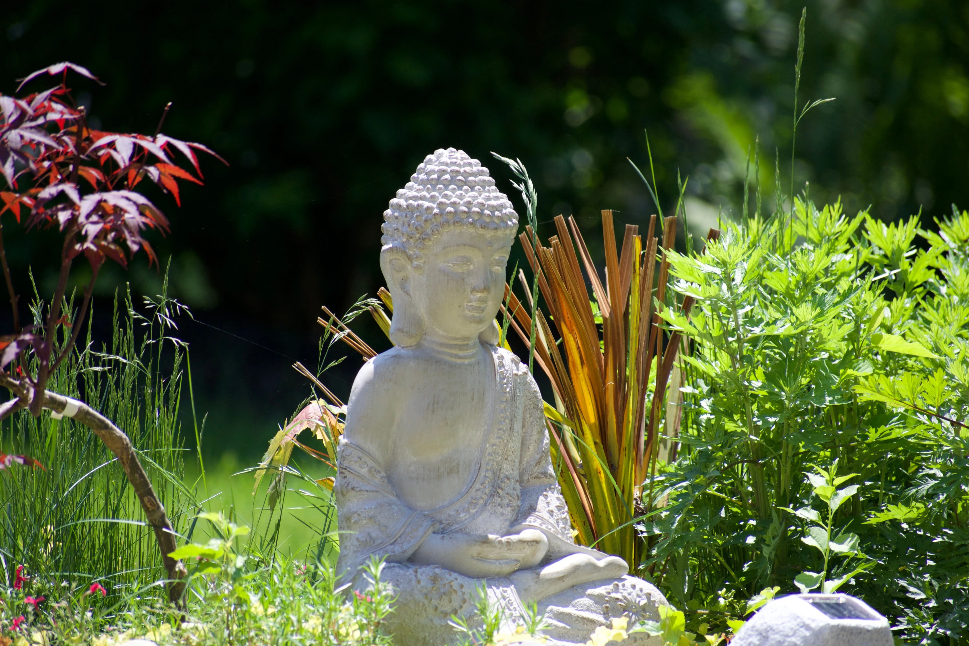 Zen Meditation (Zazen) — Holistic health practice