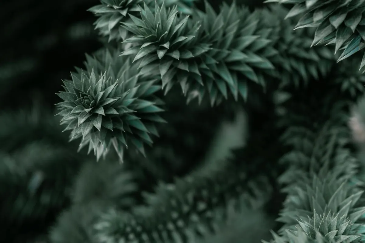 Anxiety Spikes — health symptom