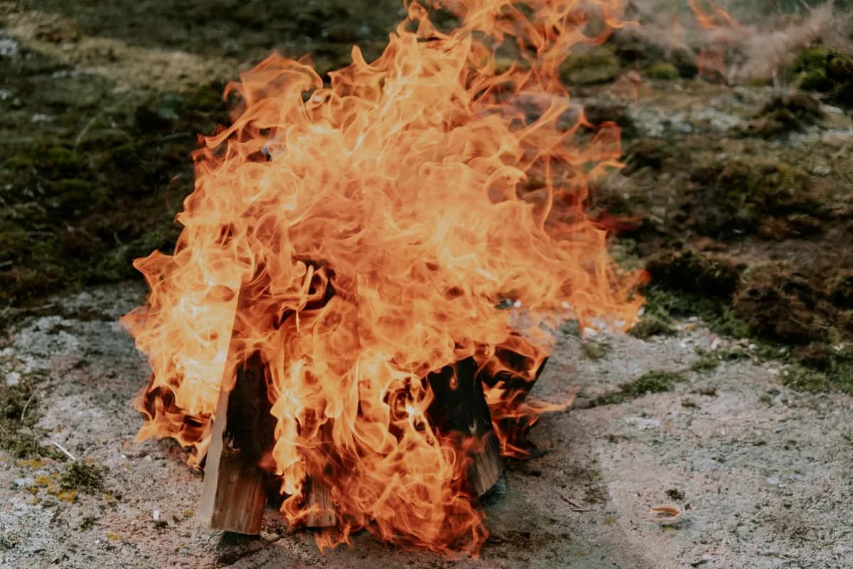 Burning Sensation in the Leg — health symptom