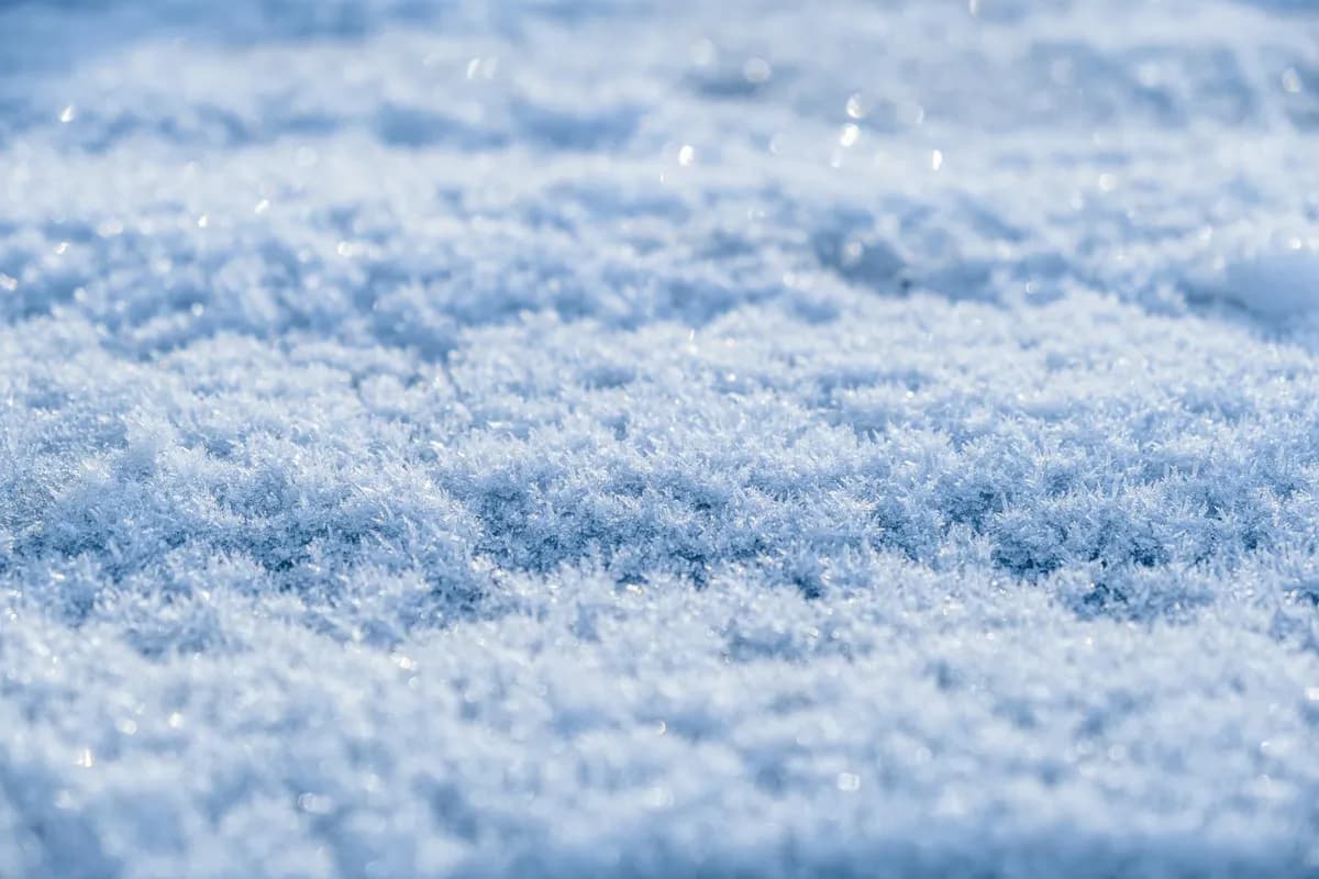 Cold Sensitivity — health symptom